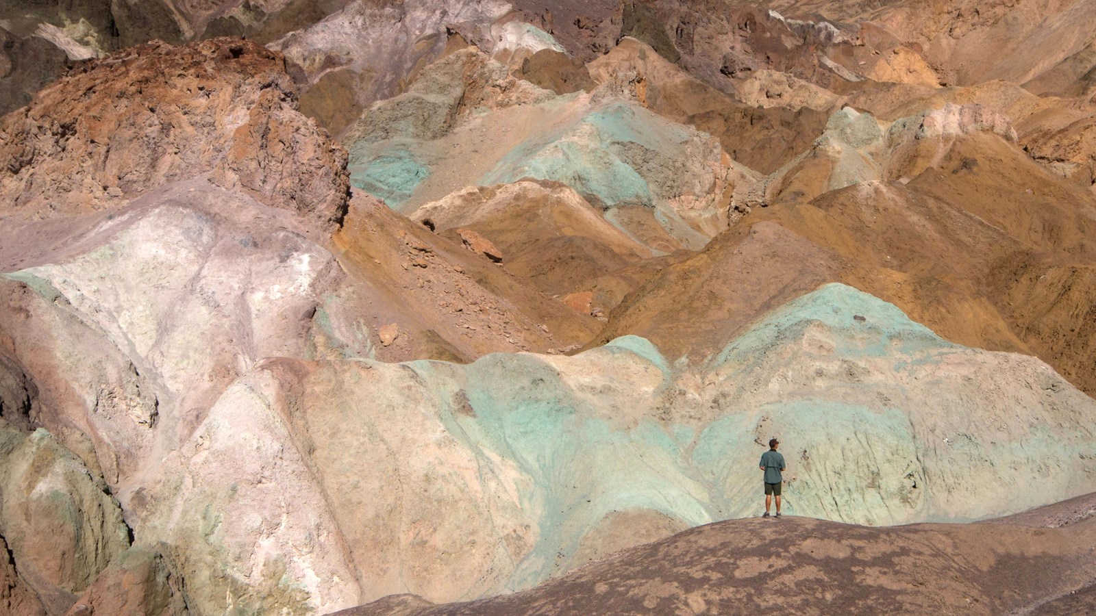 A person stands in front of hills colored brown, cream, pinkish and greenish