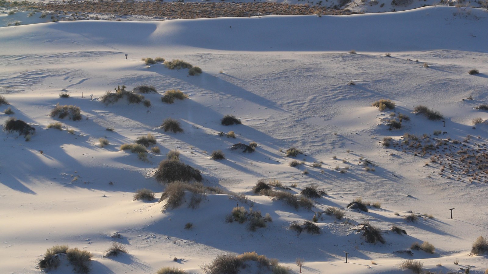An aerial photo of white dunes with shadows and plants growing on them.