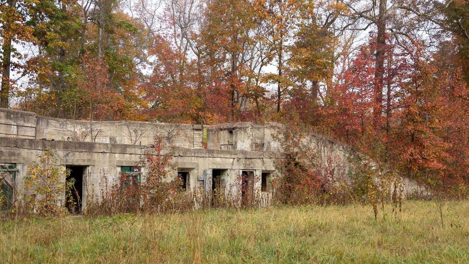 a concrete battery hidden among the trees