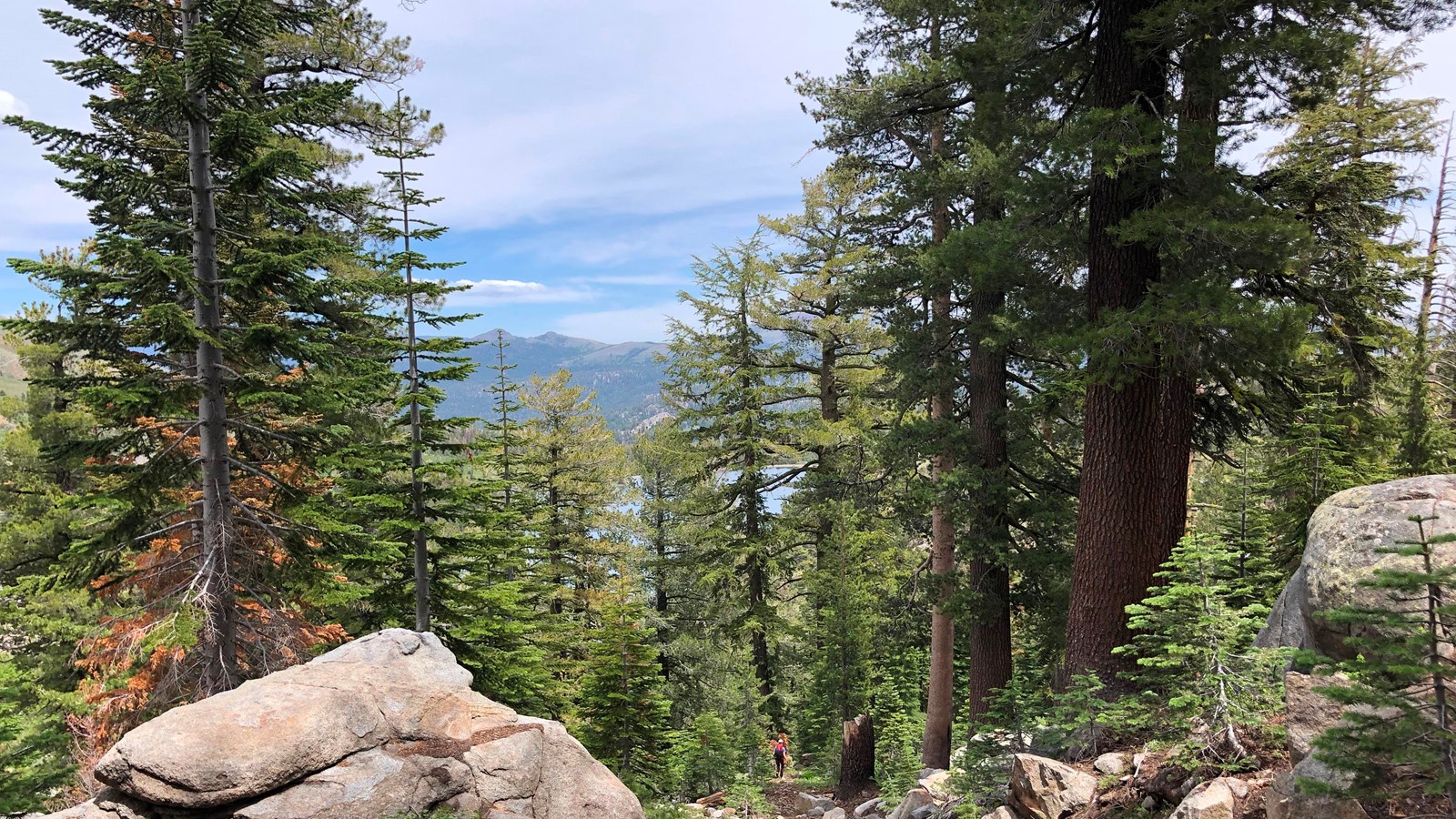 A trail with boulders on sides and a hiker at a distance. Mature pines and Red Lake in back.