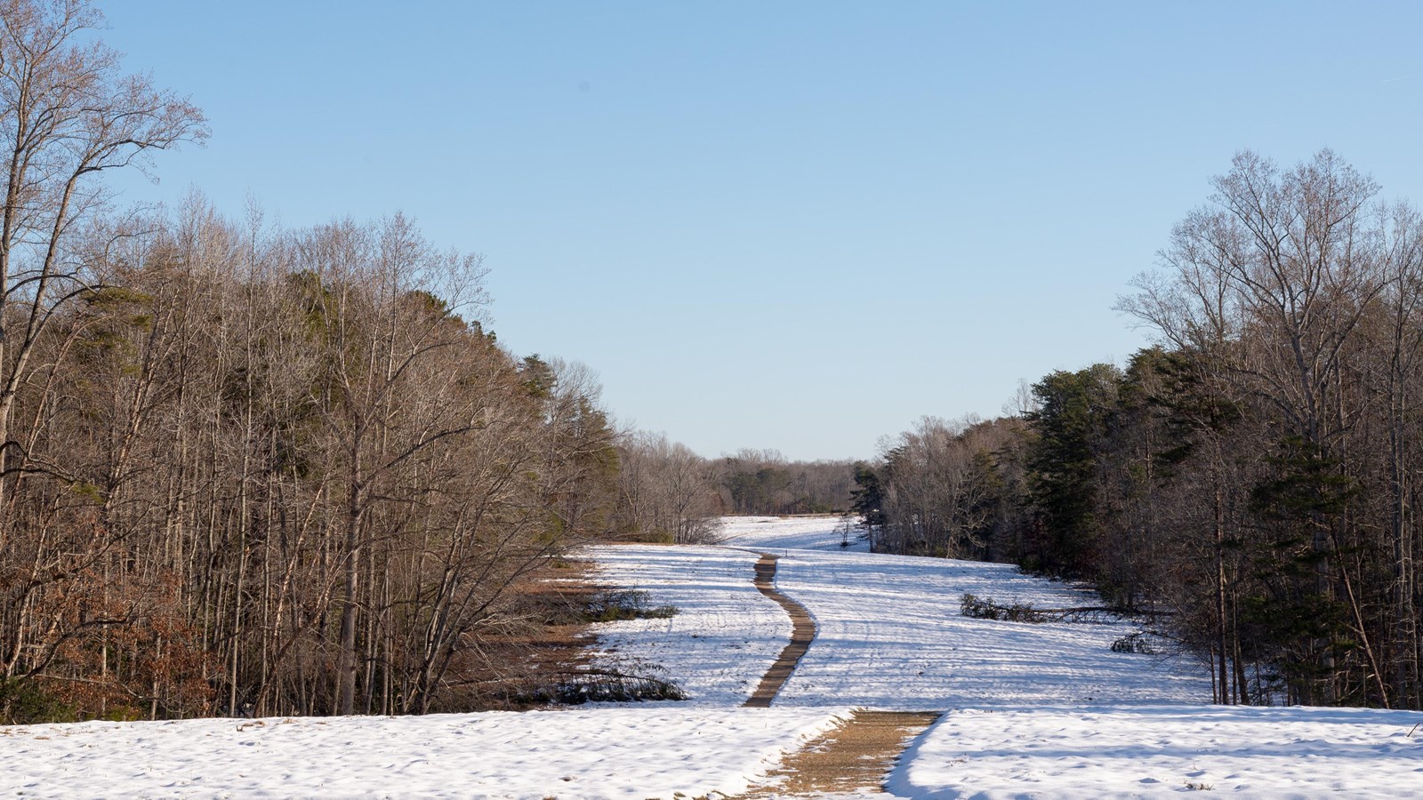 A view over a cleared field with snow, surrounded by trees on both sides.