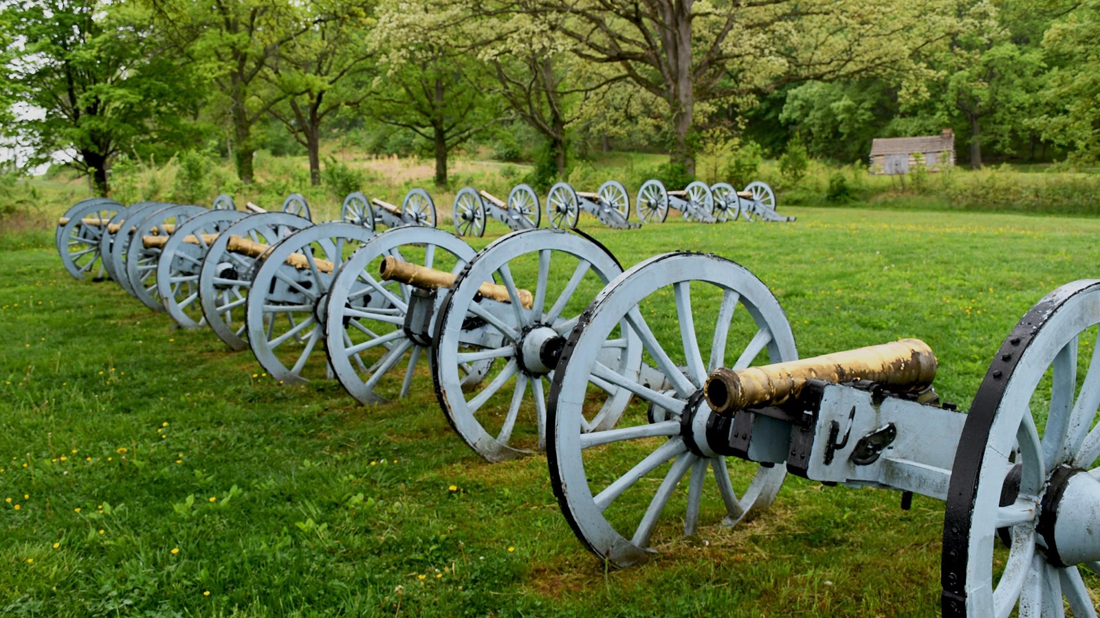 ten reproduction cannons lined up