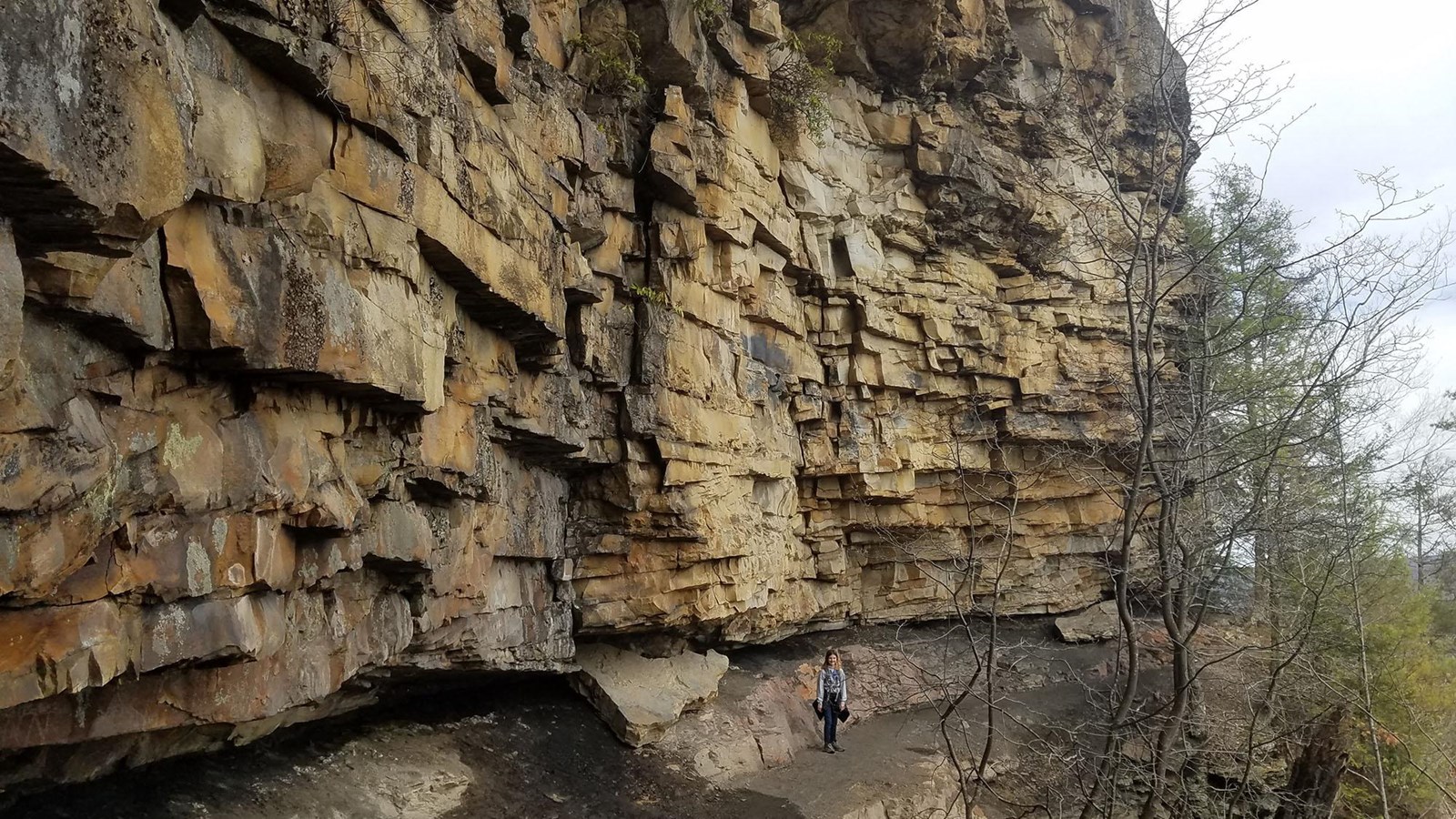 A hiker on a trail with a large cliff looming behind her.