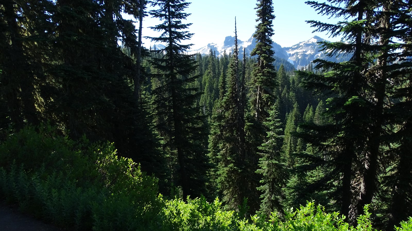 Jagged mountains, foothills, and forest in the distance.