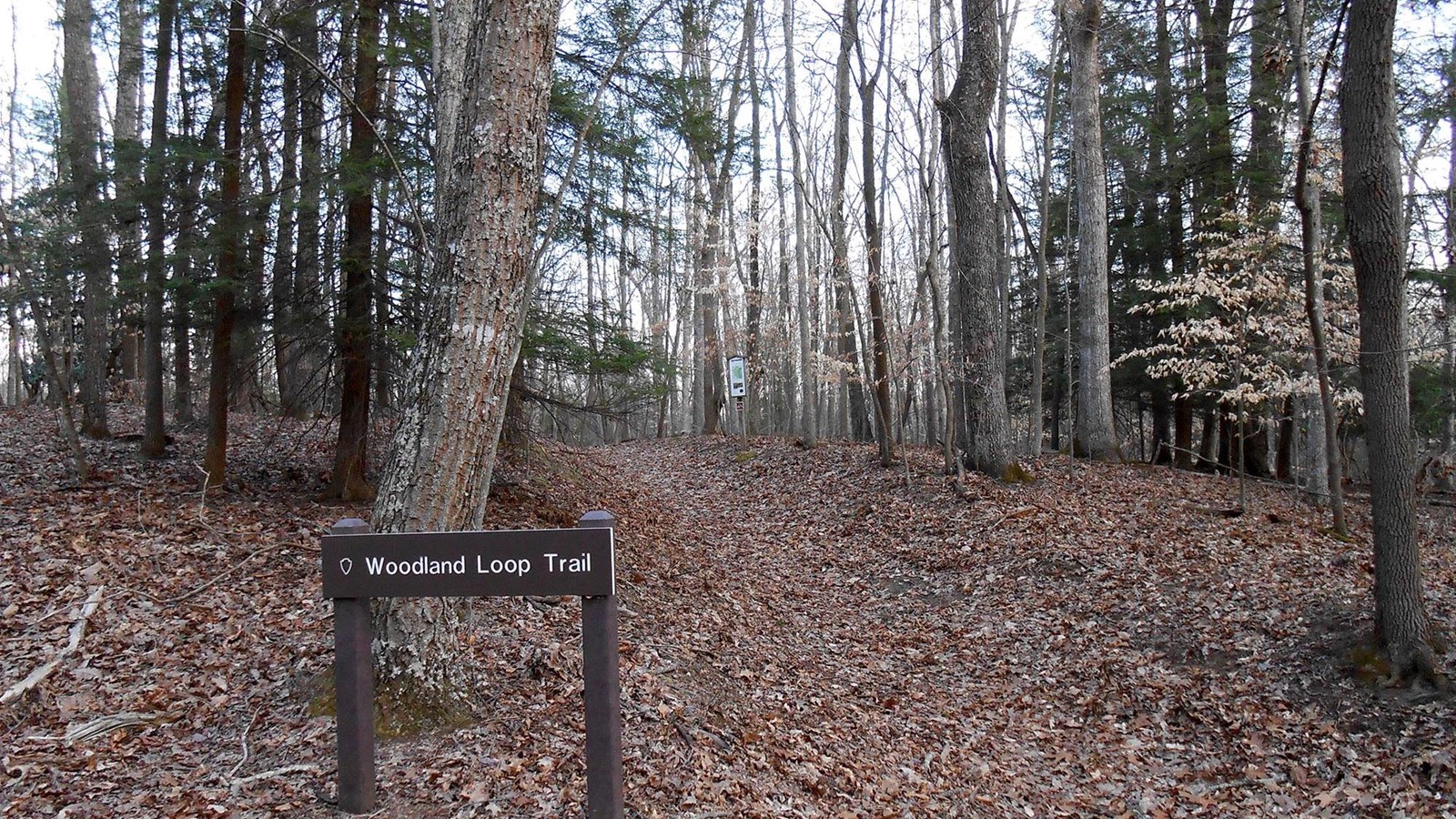 The entrance to the trail with a sign that reads, 