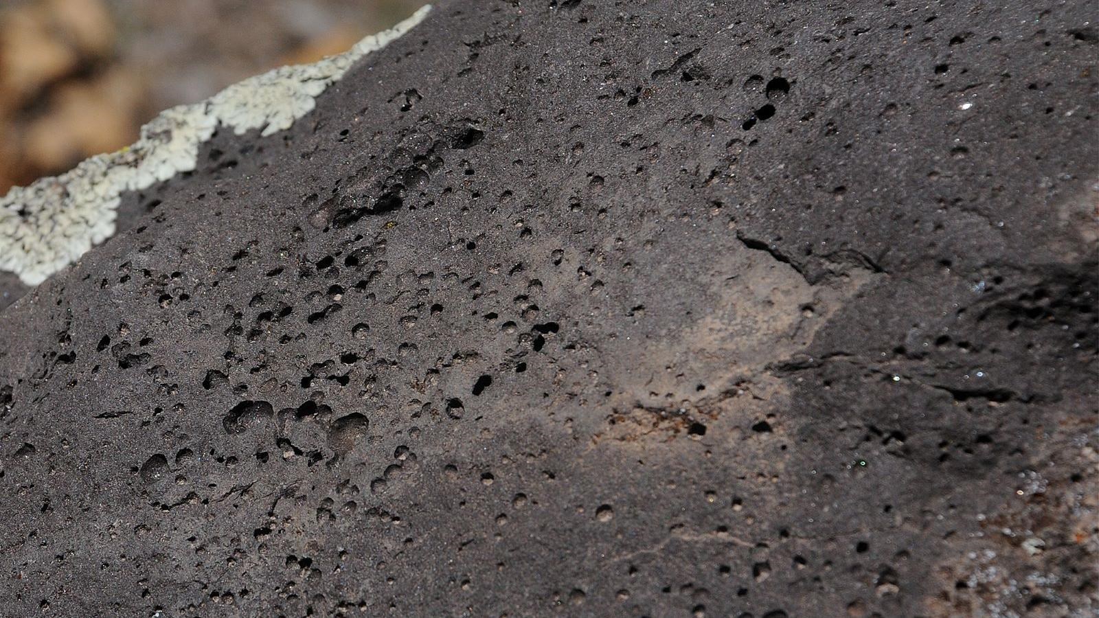 A large slab of dark rock, pocked with small holes. There is lichen along the edges.