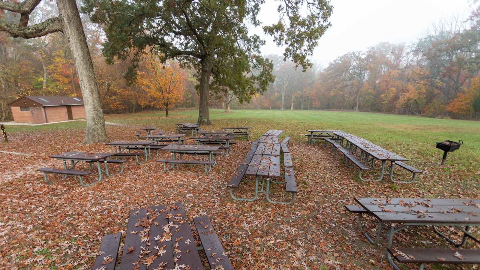 Picnic tables in a grassy area with some scattered trees