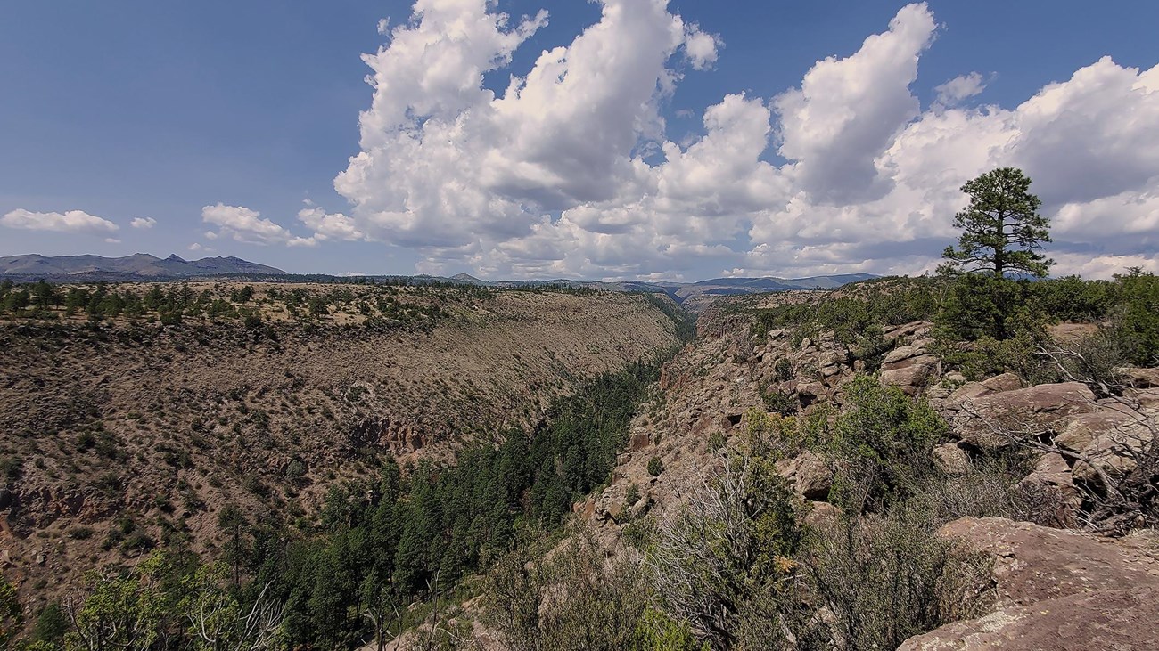 Frijoles Canyon from the rim section of the Frijoles Loop Trail.
