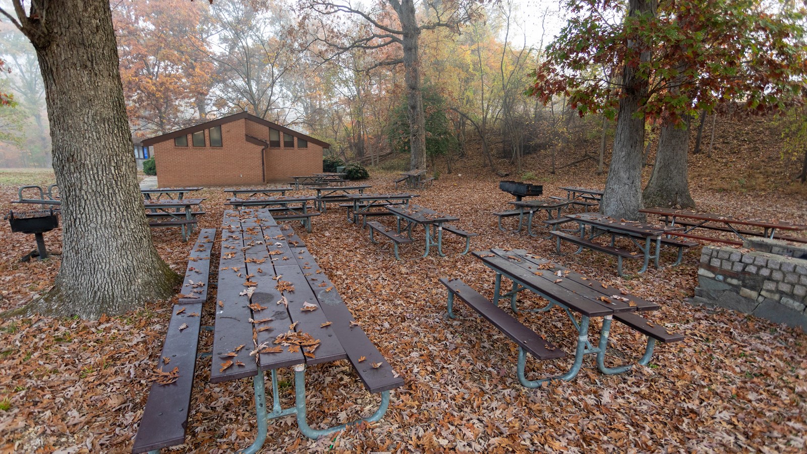 picnic tables among some trees 