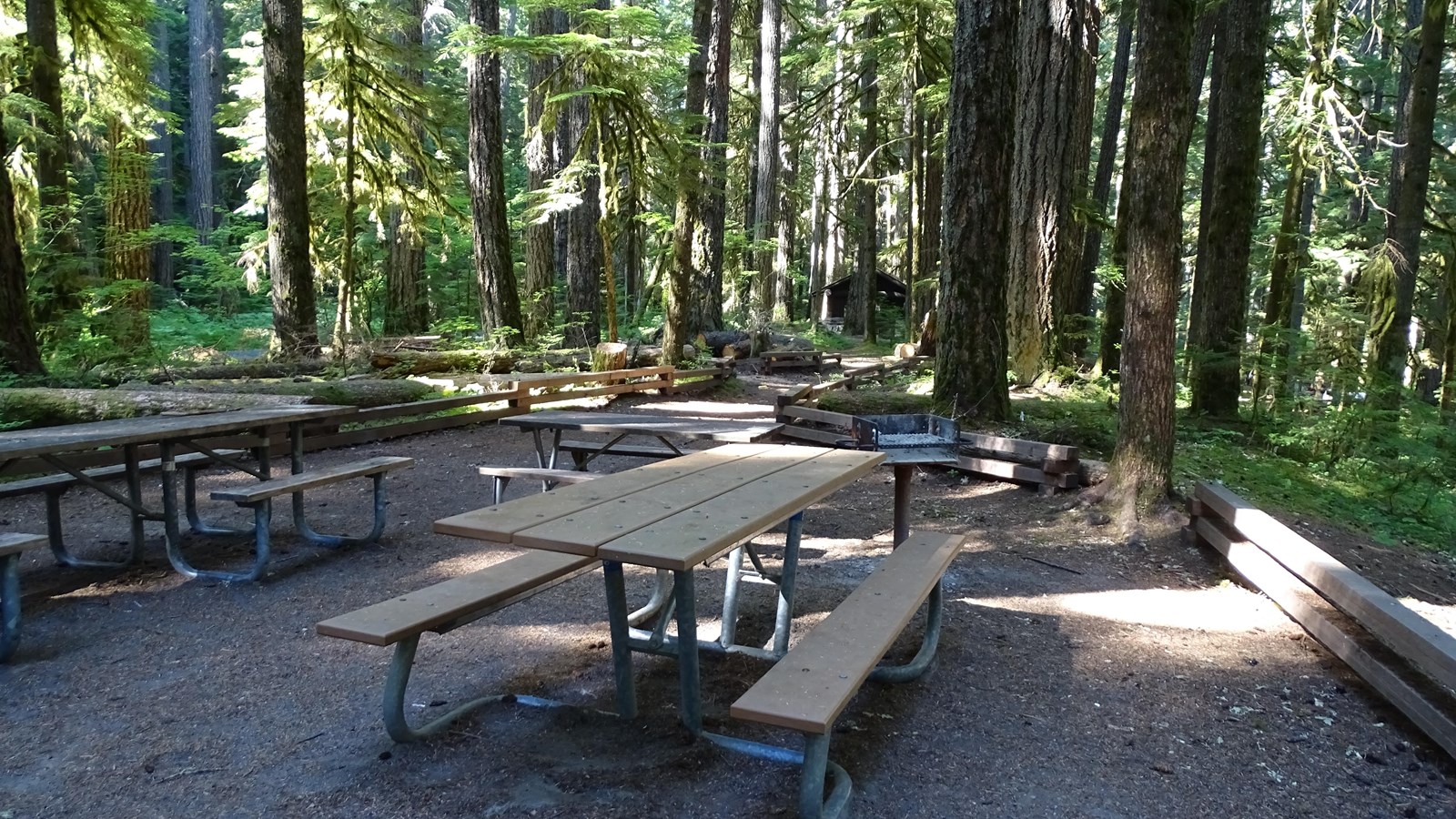 Three picnic tables and a grill surrounded by dense forest with a brown building in the distance.