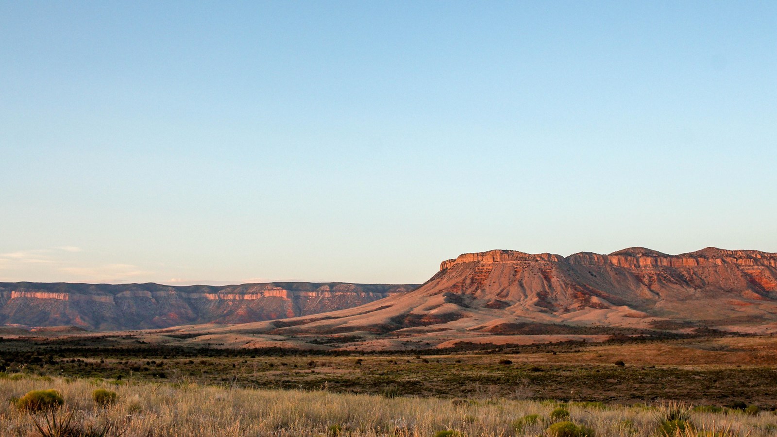 Band of cliffs bathed in an evening sunset glow, desert shrubs are seen in the foreground.
