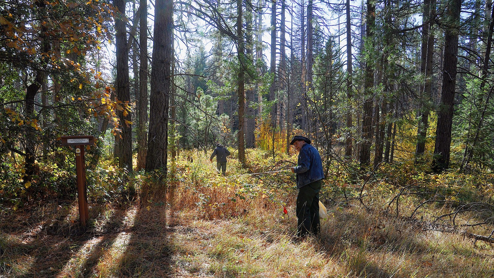 Two men walk through a brushy forest, passing a brown, t-shaped trail marker.