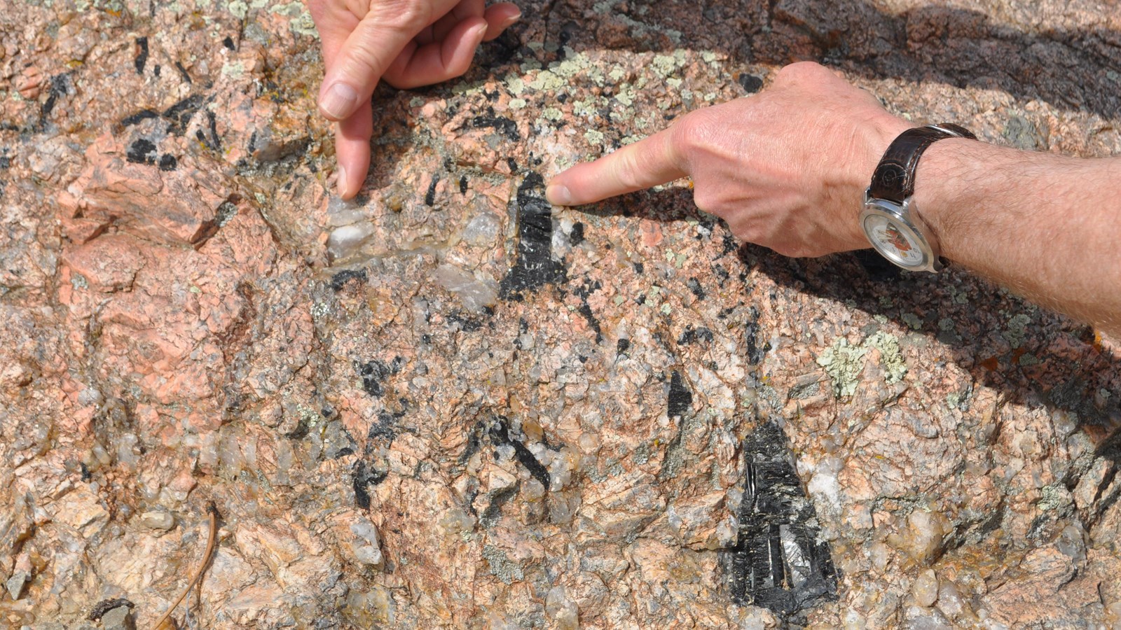 a person pointing to two large black and white crystals within a slab of pink rock