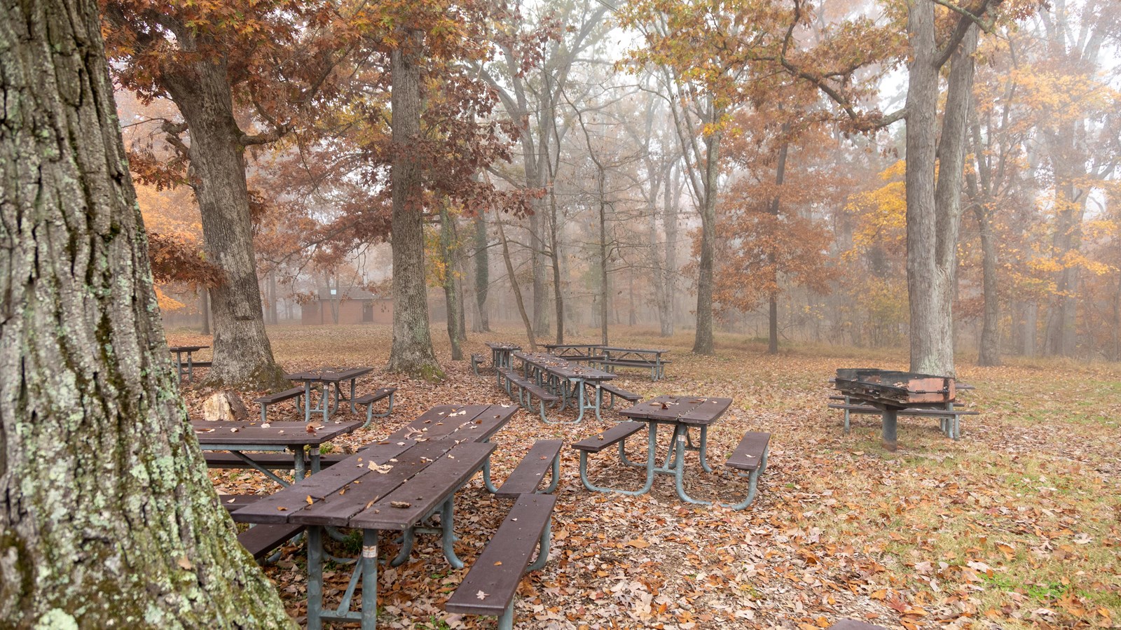 Photo of field of grass with trees and picnic tables in background