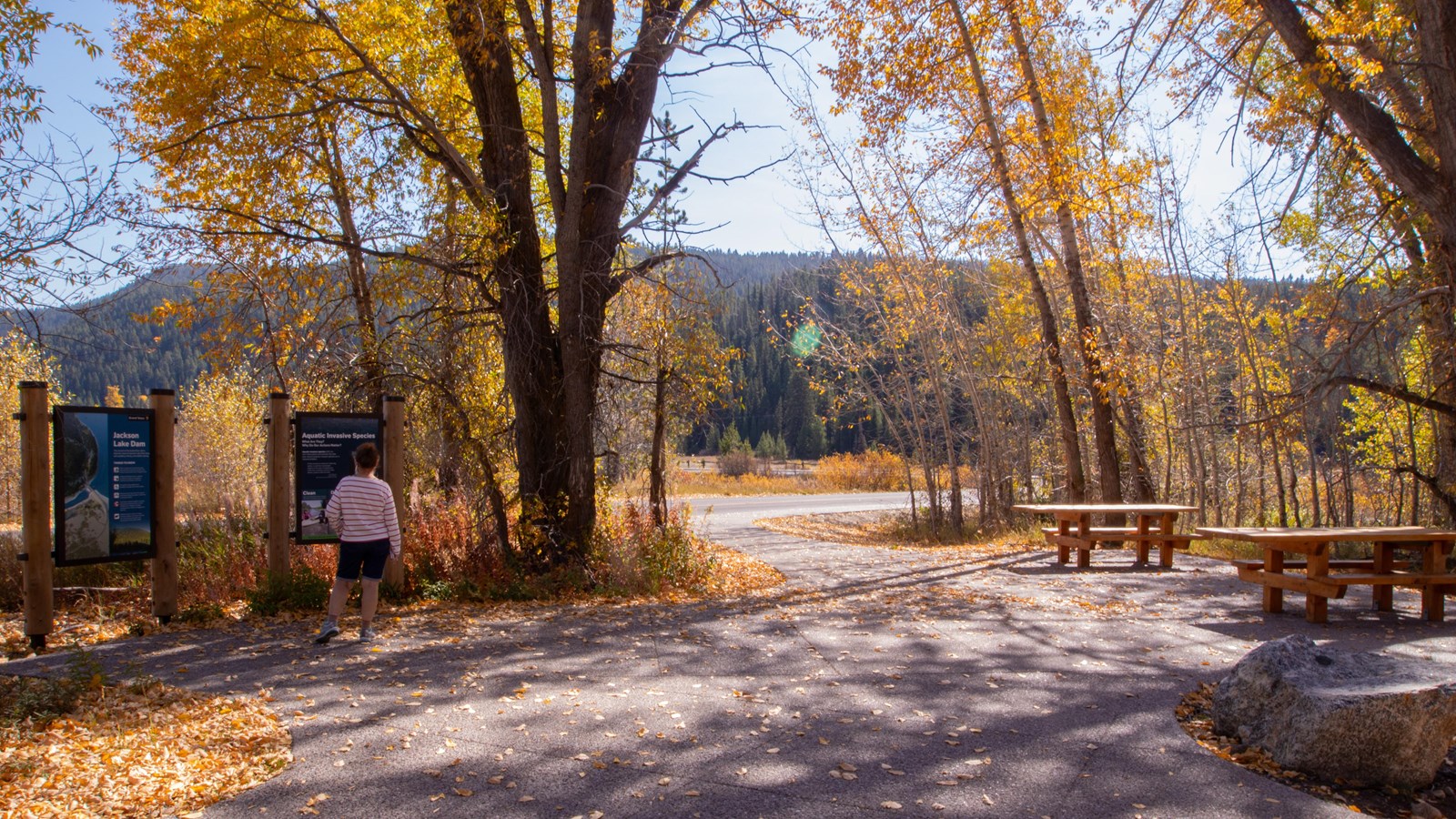 A woman looks at two signs with nearby picnic tables surrounded by trees with yellow leaves.