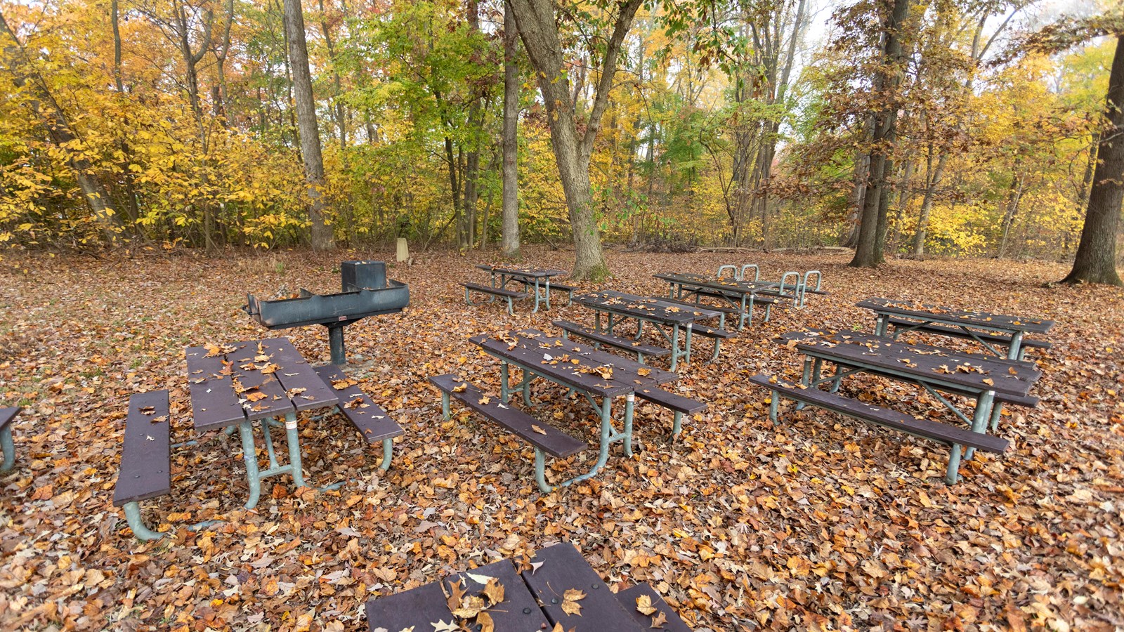 Photo of Picnic tables and trees, with a black hot ash can