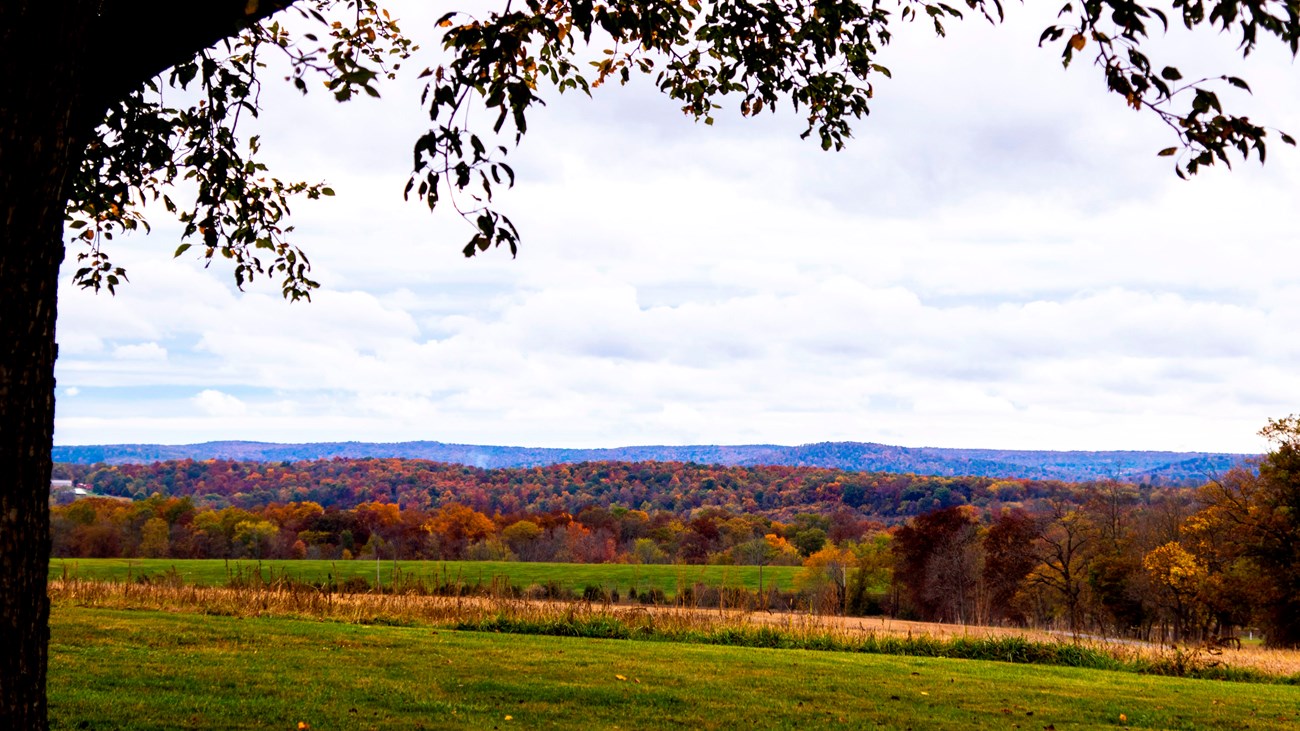 Changing fall foliage with gently rolling mountains in the distance