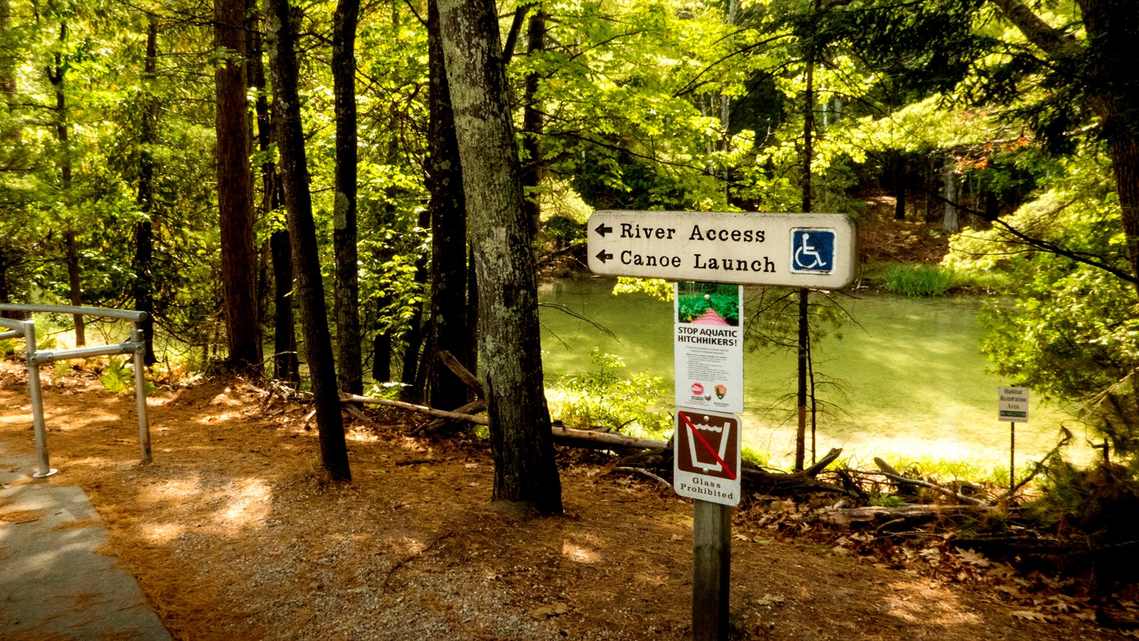 Standing along a path along a green river, a wooden sign leads to the river and the access