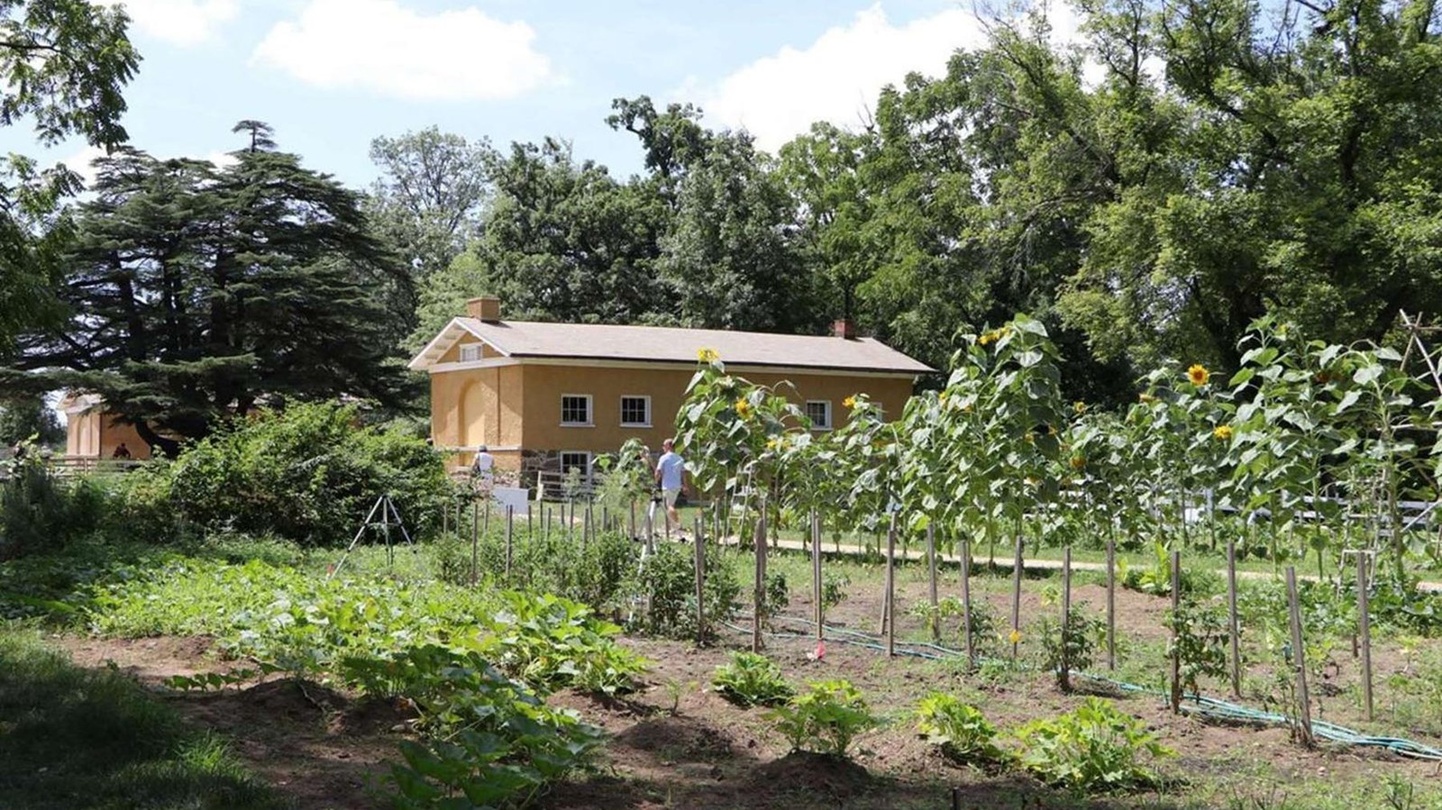 A small brick house stands beyond an extensive garden.