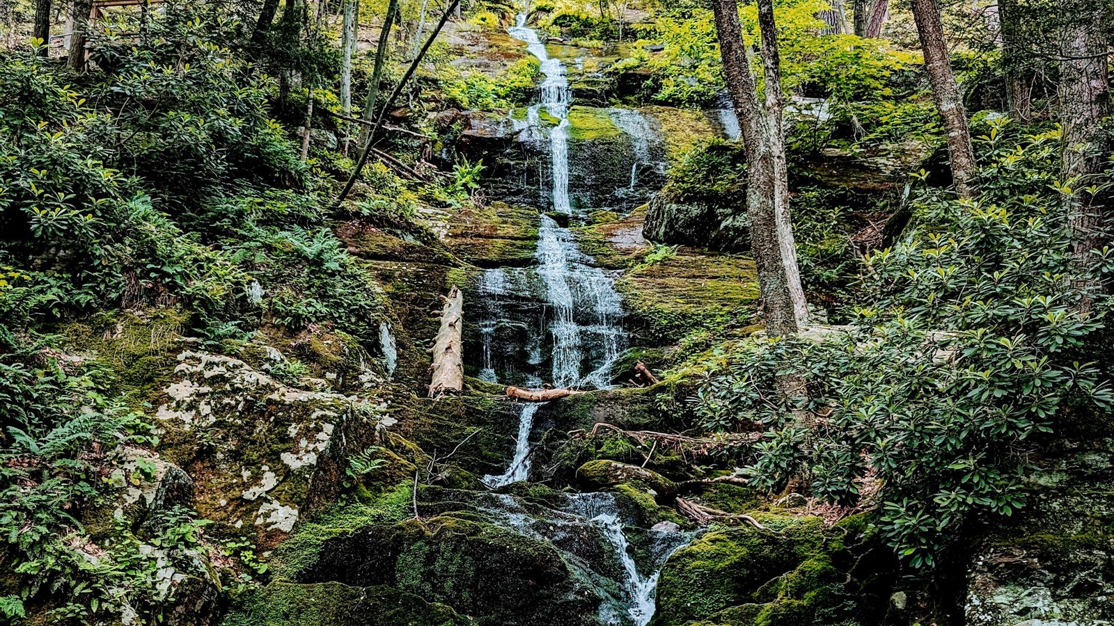 A tall, thin cascade of water with lush moss and green foliage.