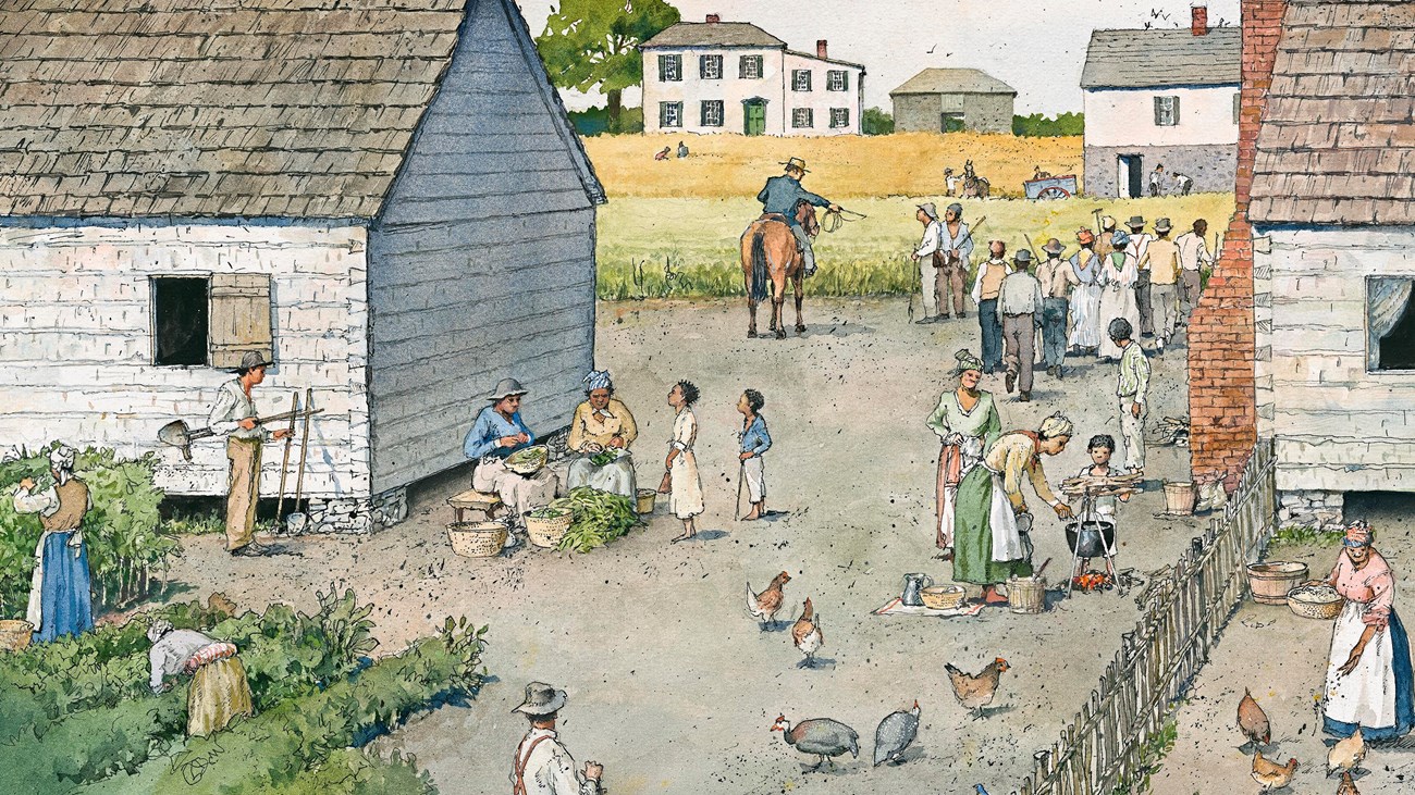 A group of enslaved black laborers tend to a garden and feed chickens in front of two white cabins.