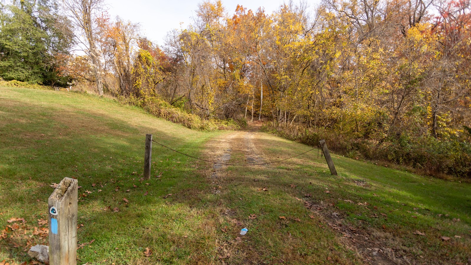 A wooden post saying \'Potomac Heritage Trail\' stands at the head of a small forested trail