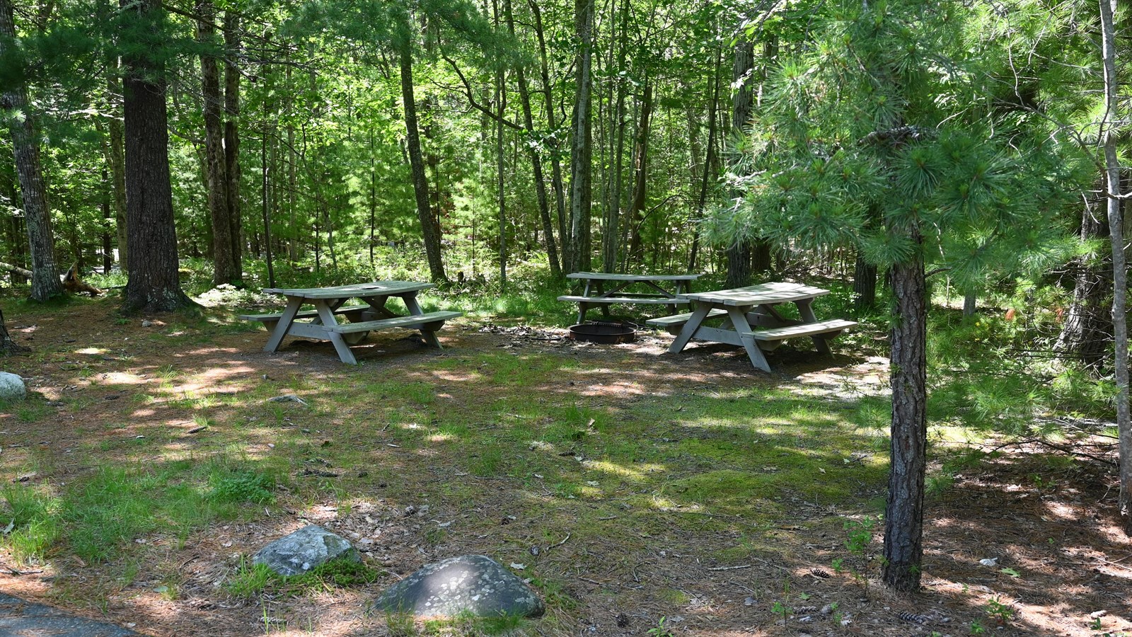 Three wooden picnic tables in a small grassy area off of a paved driveway.