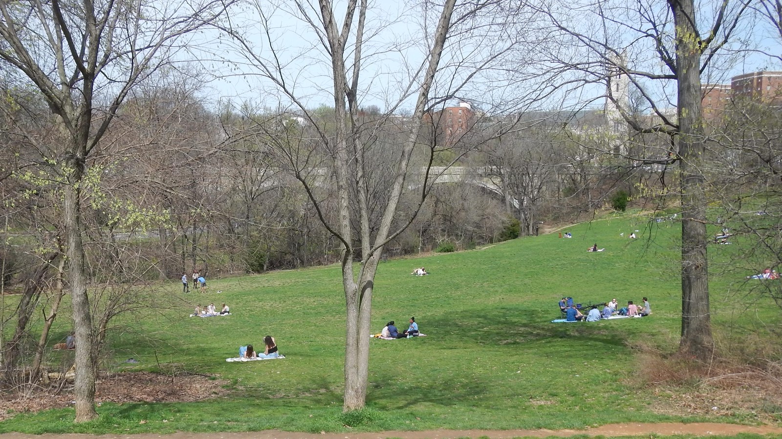 An open green space on a hill behind trees