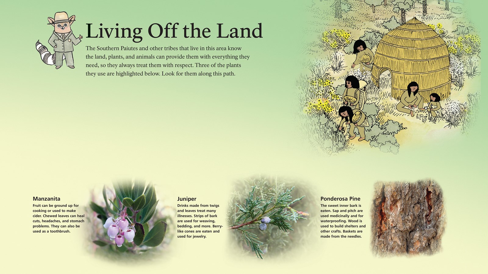 Three tactile elements are on the panel that feature plants used by the Southern Paiute.