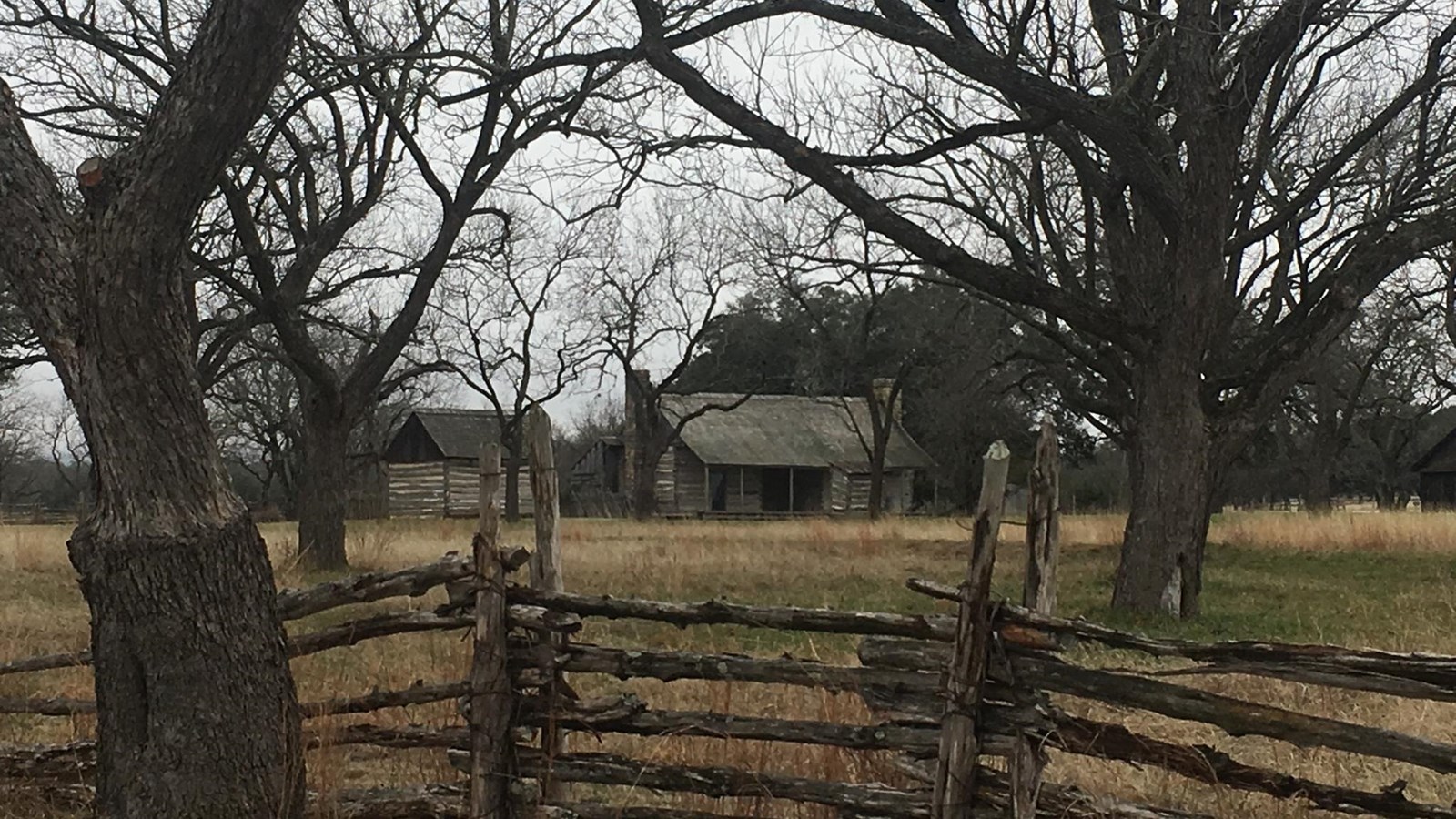 Past a nearby wooden fence under leafless trees, there are historic structures in the far distance.