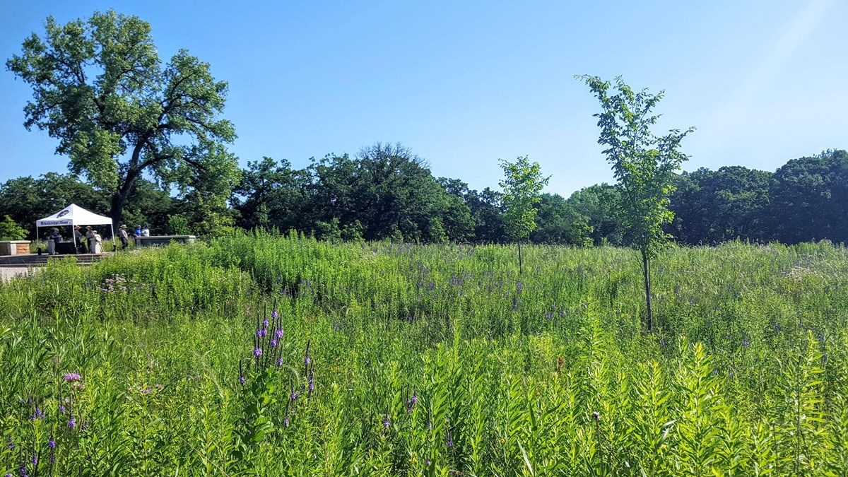 Go on a Day Hike at Coldwater Spring (U.S. National Park Service)