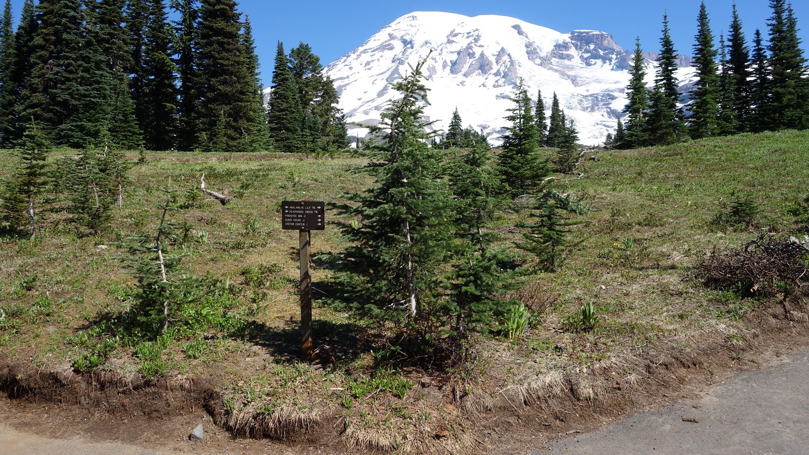 A glaciated mountain peak above a meadow slope and two paved trails with a small trail sign. 