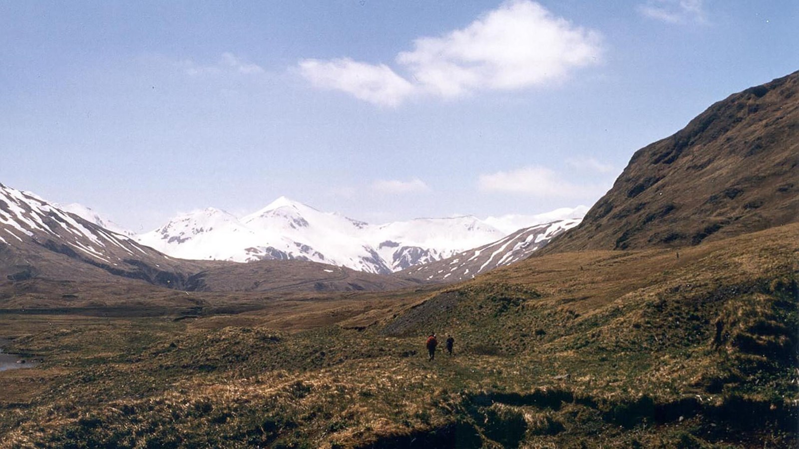 A green meadow with snow peaked hill tops in the background.