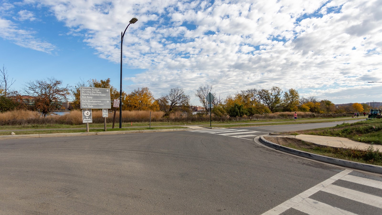 Two crosswalks are connected by a sidewalk. A tall, black lamp post is positioned next to signage.