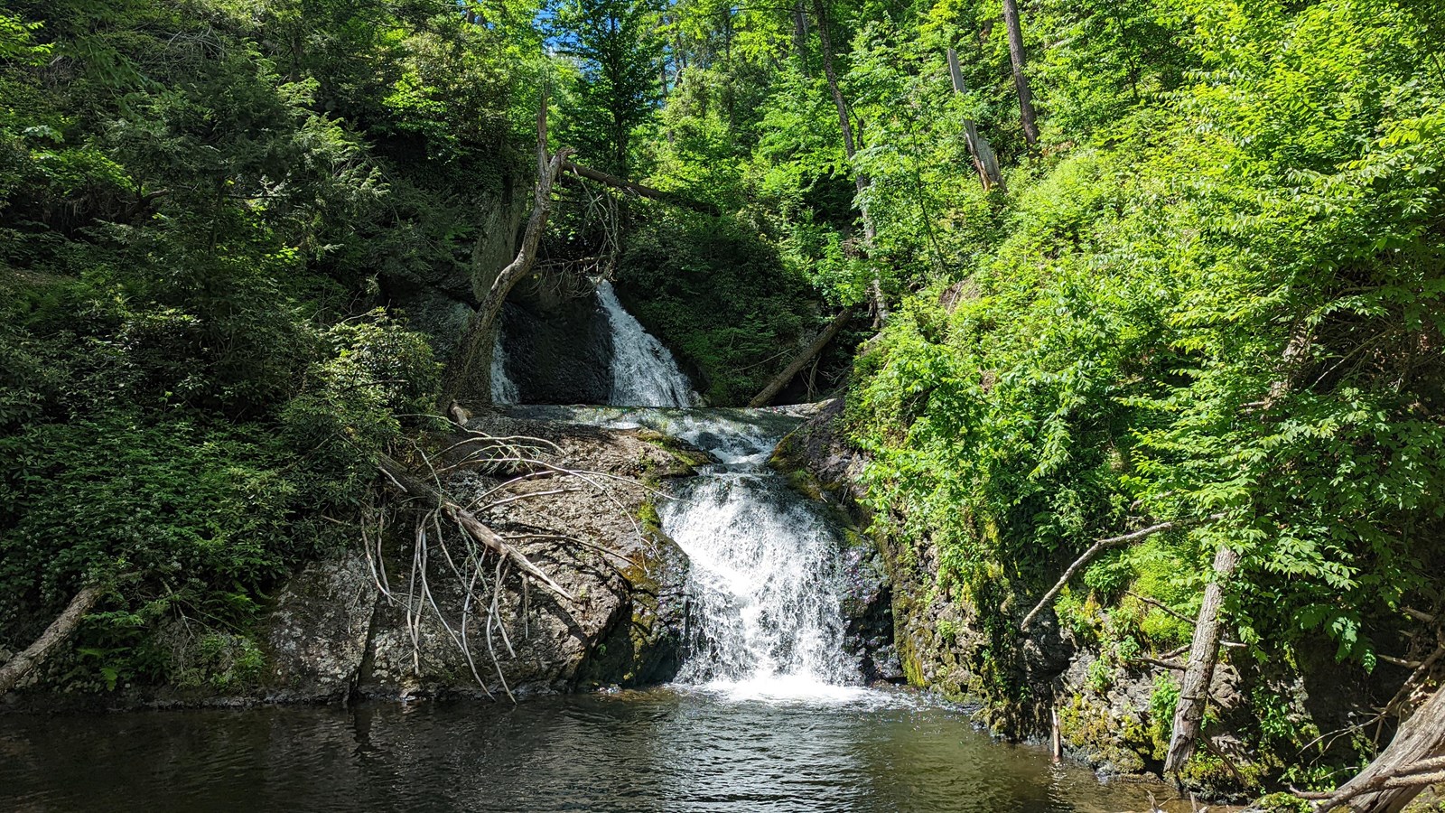 A tiered cascade surrounded by lush green foliage.