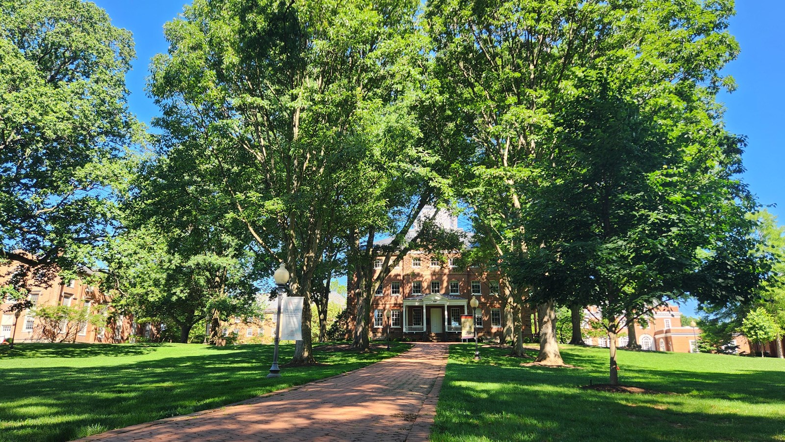 A red brick, tree-lined walkway with green grass on either side leads to a red brick building.