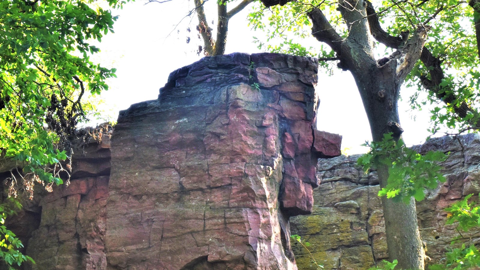 Stone column that resemble the profile of a face; surrounded by trees.