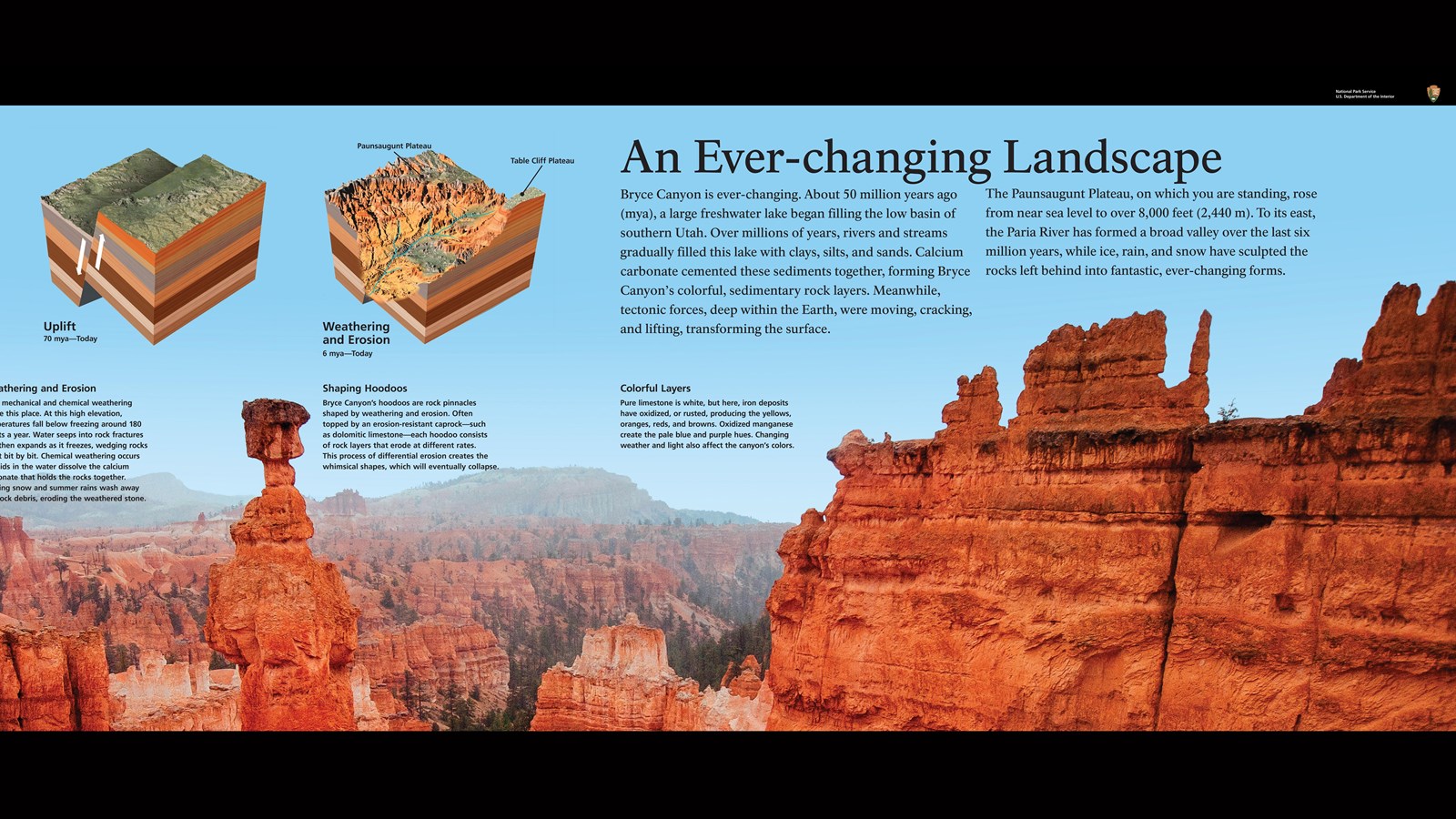 A panoramic photograph spans the panel to highlight the variety of colors found here.