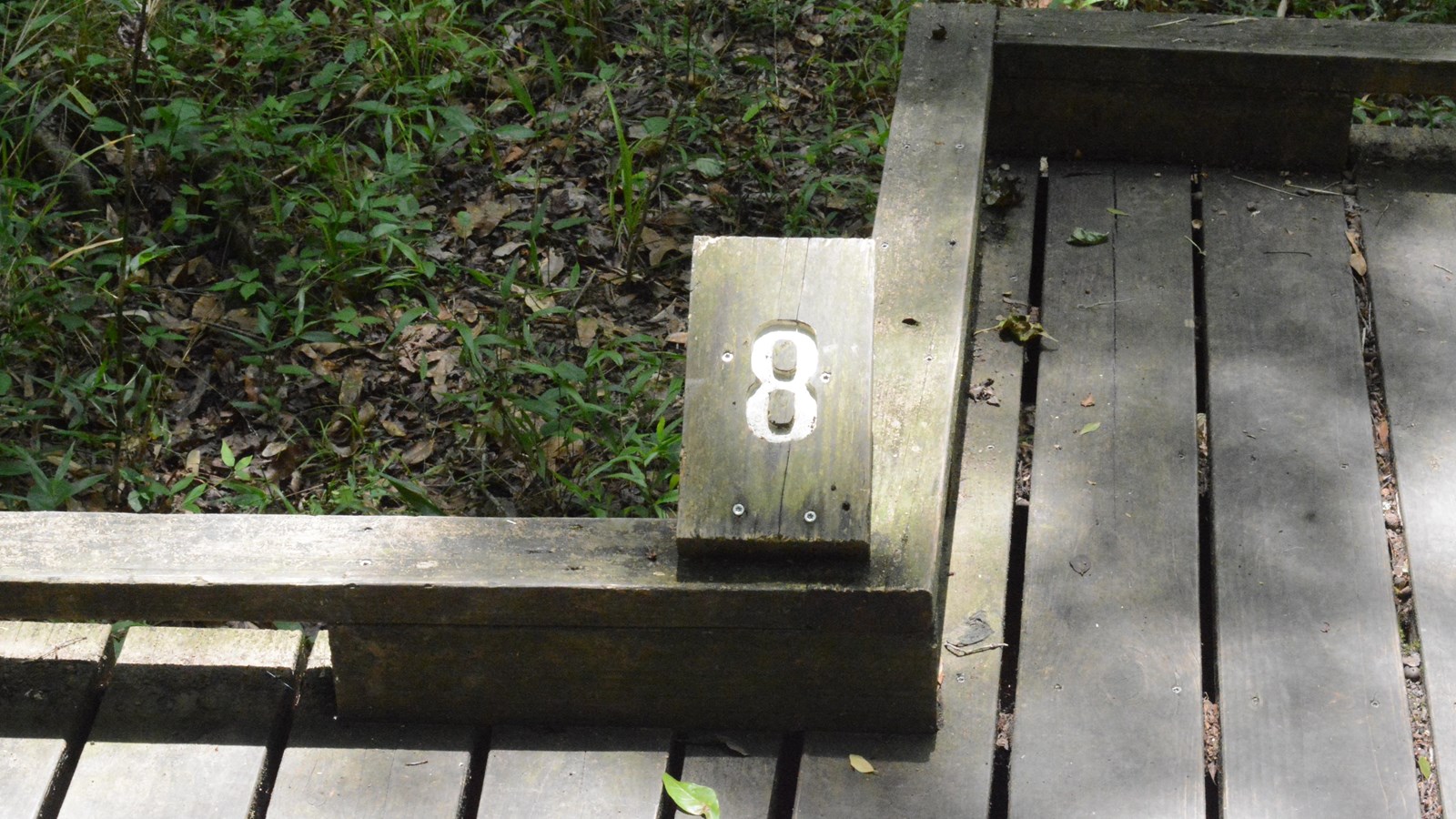 A wooden placard with the number 8, attached to a boardwalk trail through dense forest
