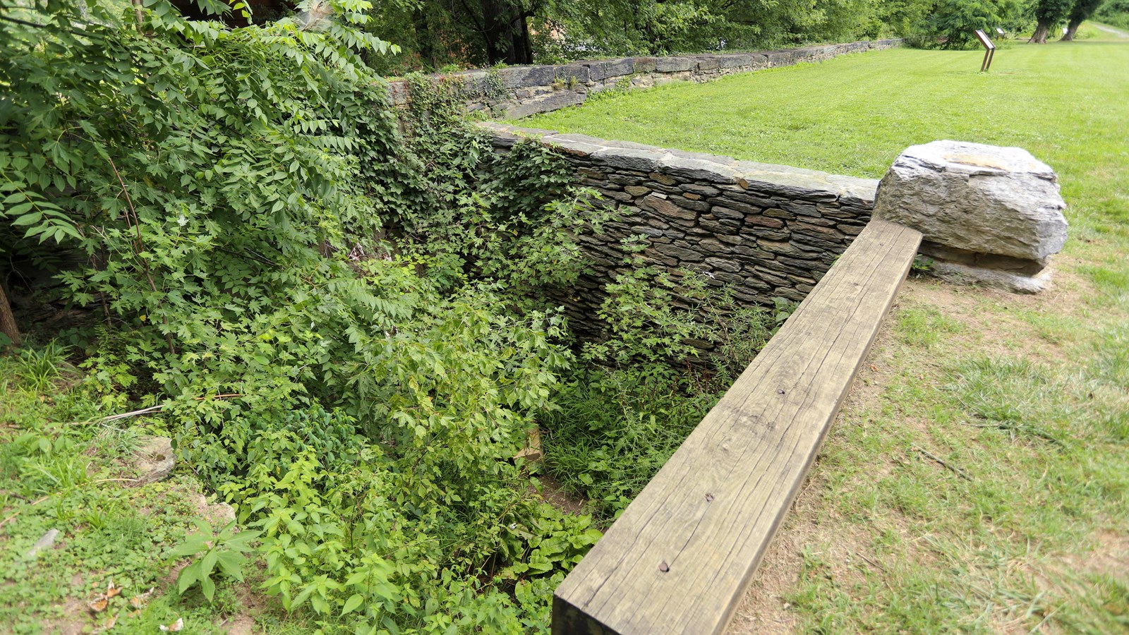 A stone wall drops down from a grassy field several feet to a weedy pit.