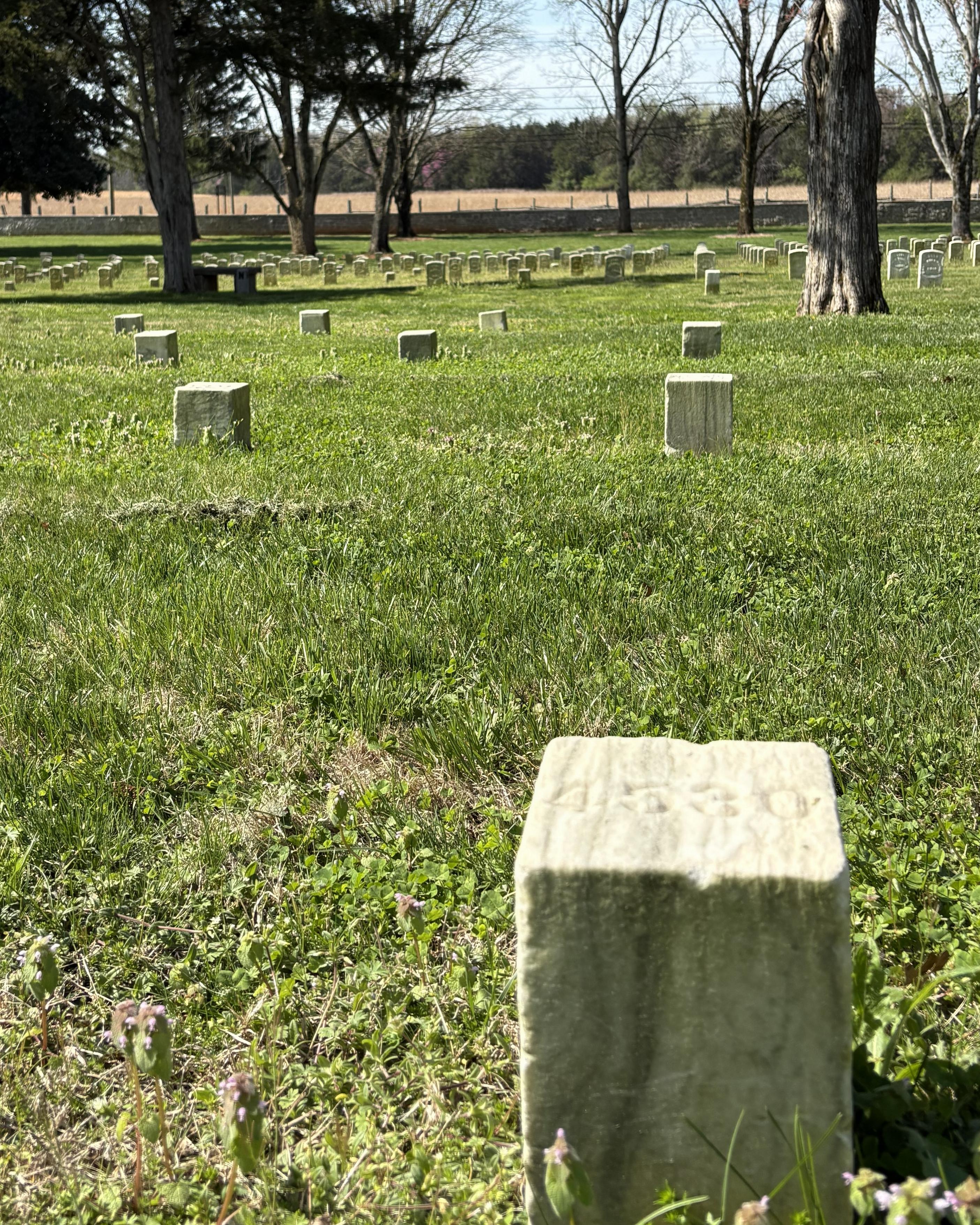 Short, marble headstone with others like it in rows behind it. Trees can be seen in the background.