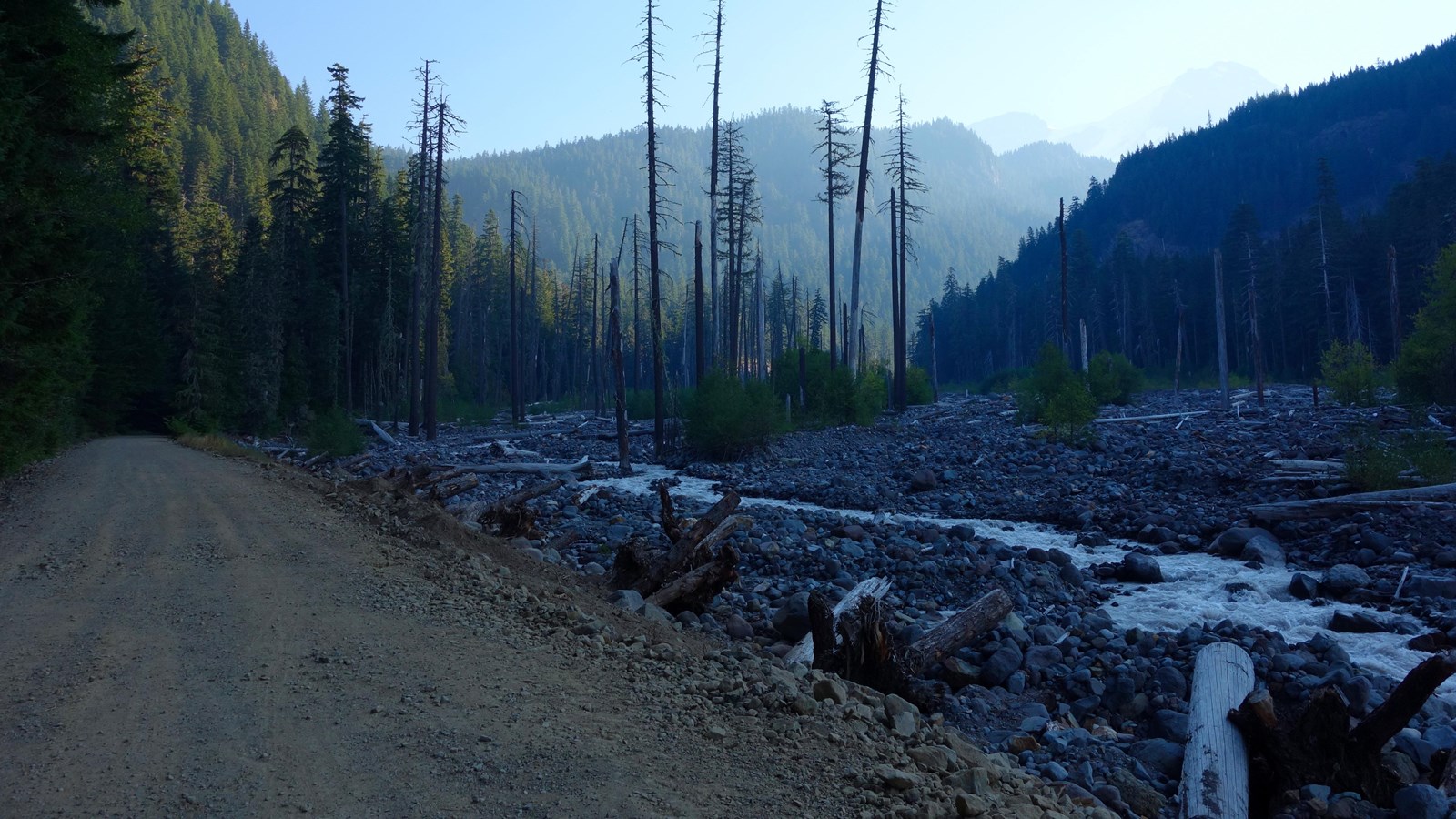 A gravel road parallels a wide rocky creek filled with dead tree trunks.