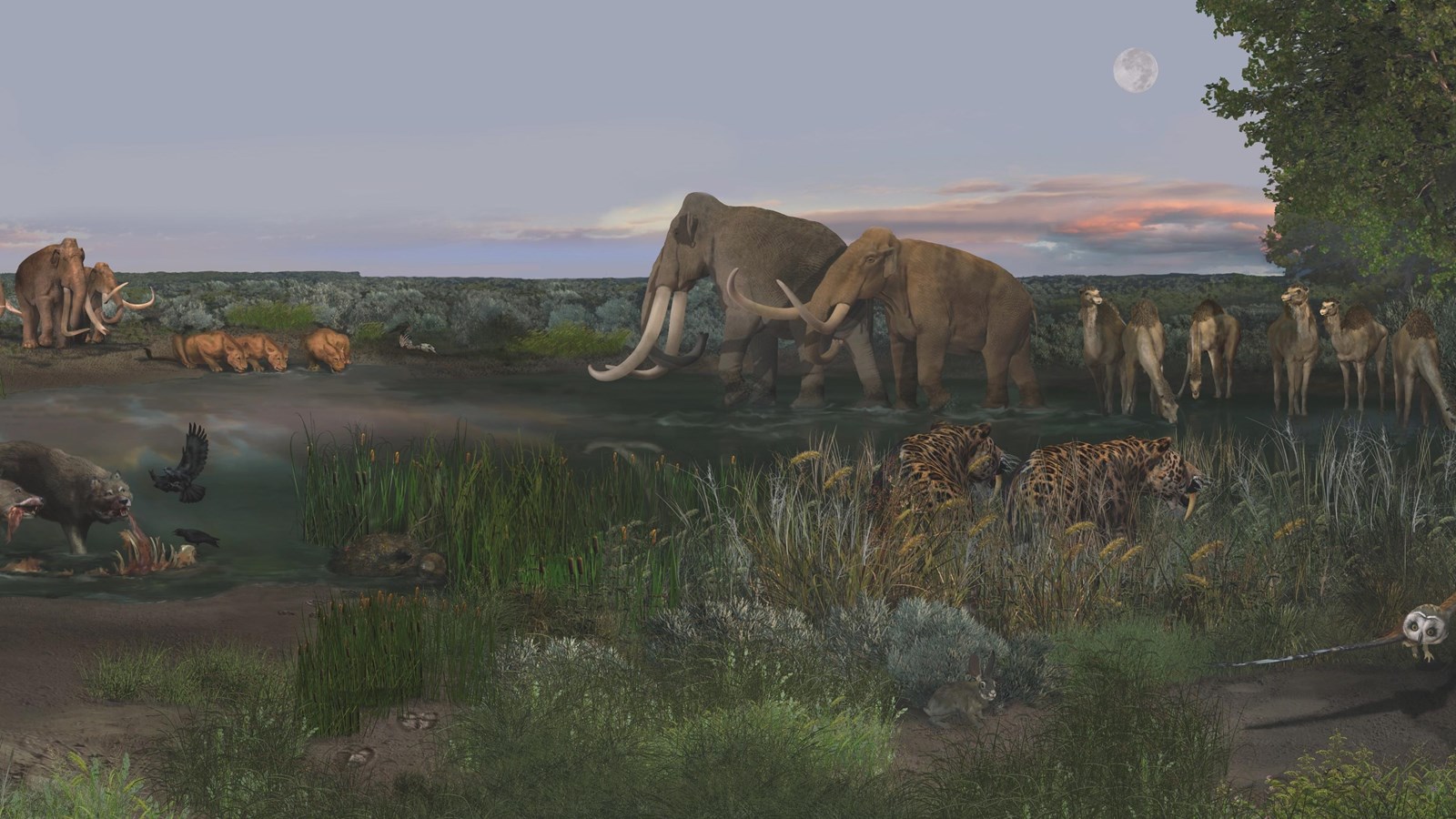 Artistic representation of several mammoths walking in a grassland with other mammals nearby