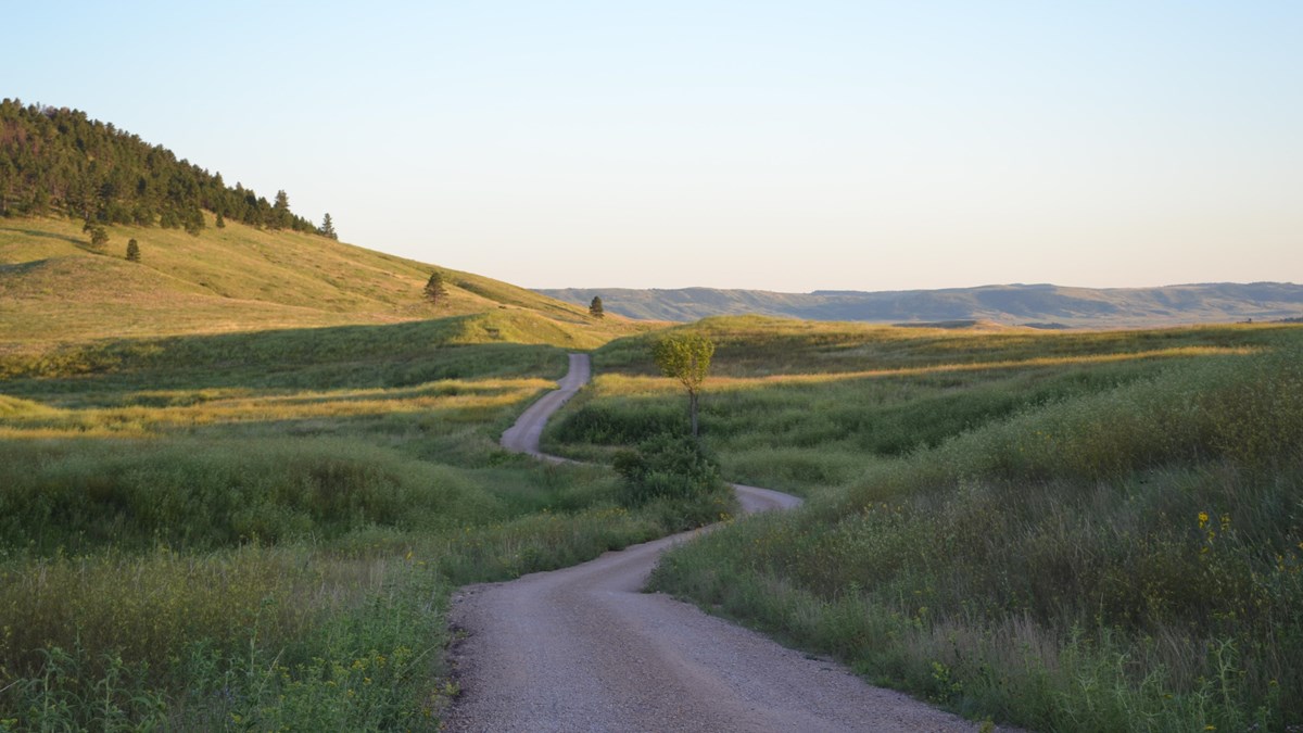 a gravel road winds across the prairie with rolling forested hills in the distance