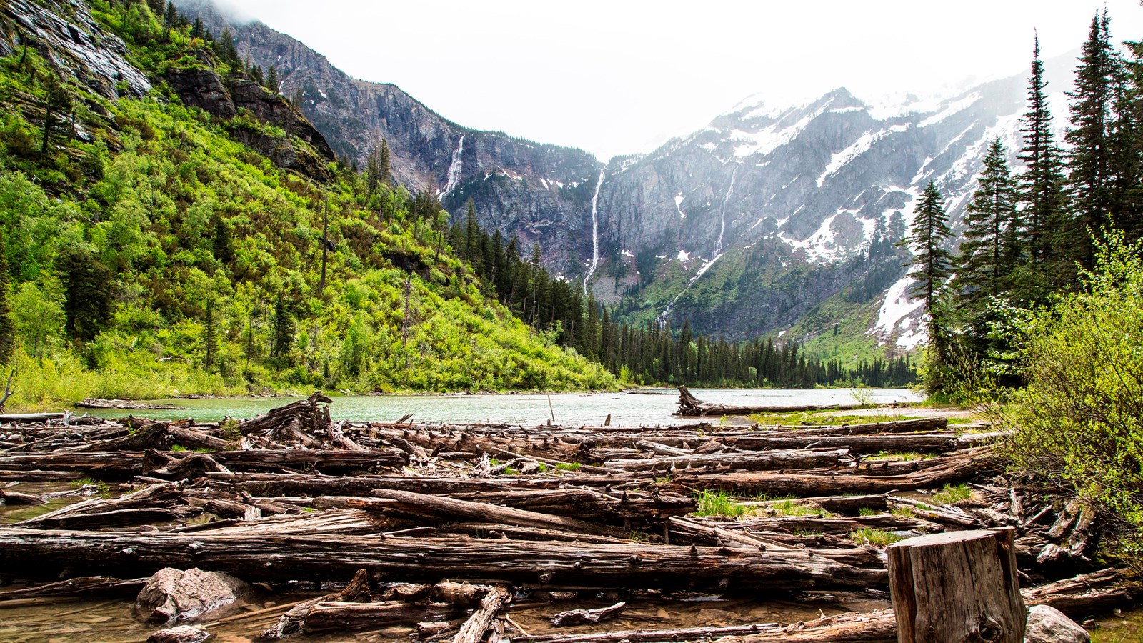 Logs, with snowy mountains and a lake in the background.