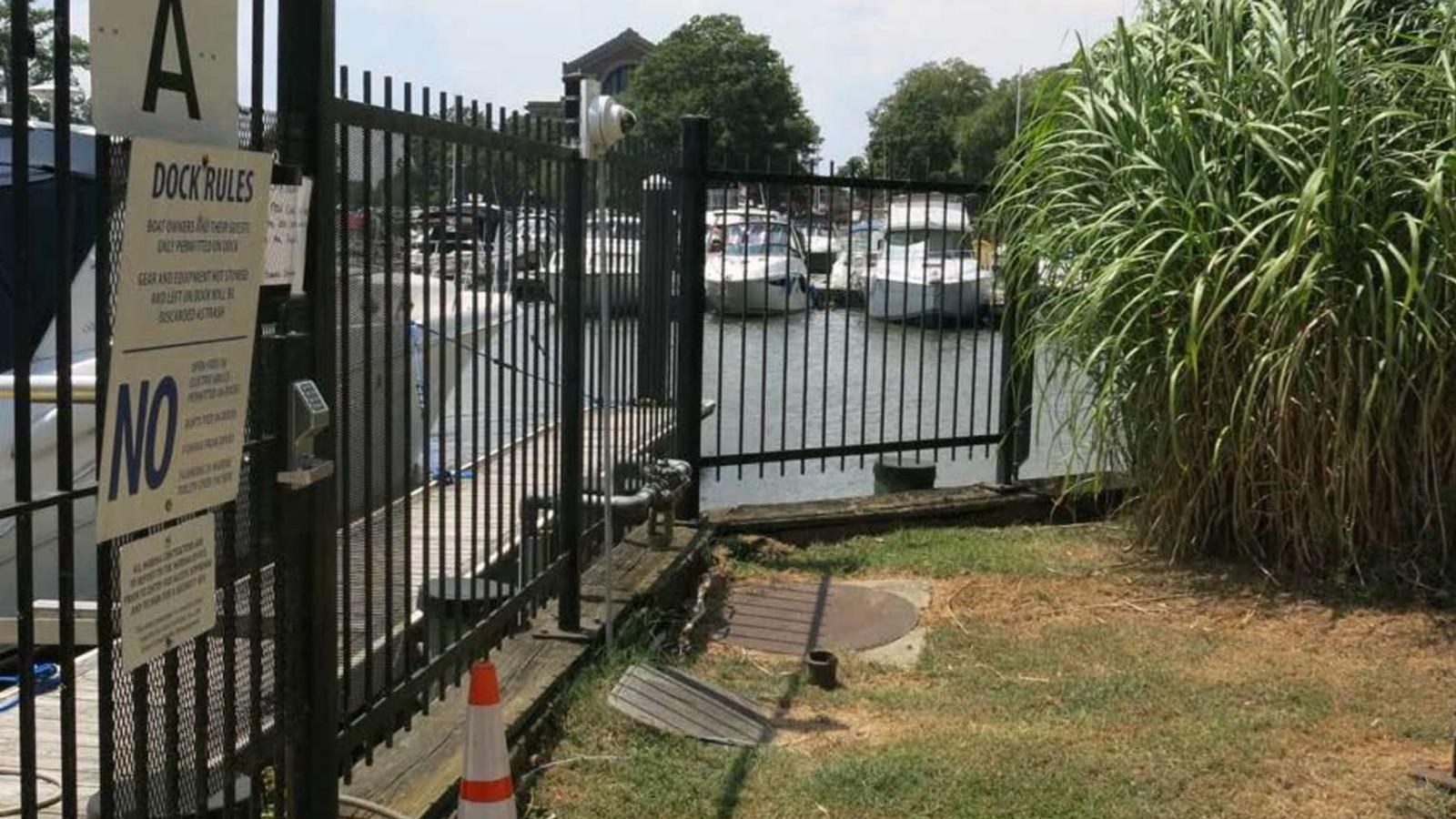A fence separates a landscaped area from the boat slips