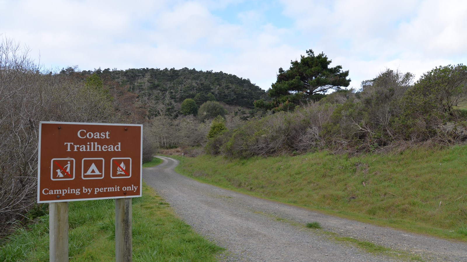 A shrub-lined gravel path winds into the distance behind a brown metal trailhead sign