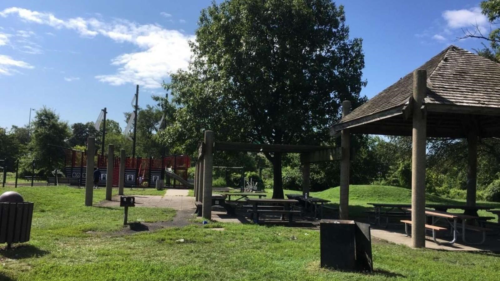 The Anacostia pirate ship playground has a play structure in the shape of a pirate ship and some pic