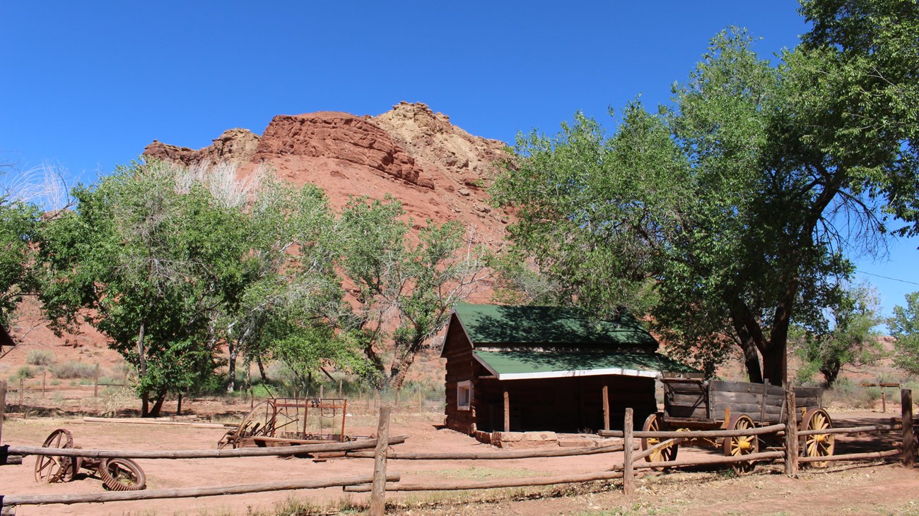Rustic log cabin sits in the shade of tall trees surrounding by red rock canyon walls. 