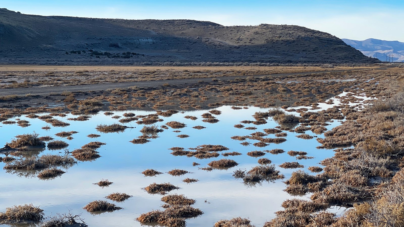 Gray rocks extend across 1/3 of the photo. A pool of water with brush sits at the bottom.